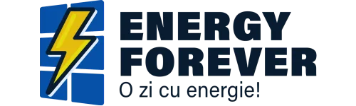 Energy Forever
